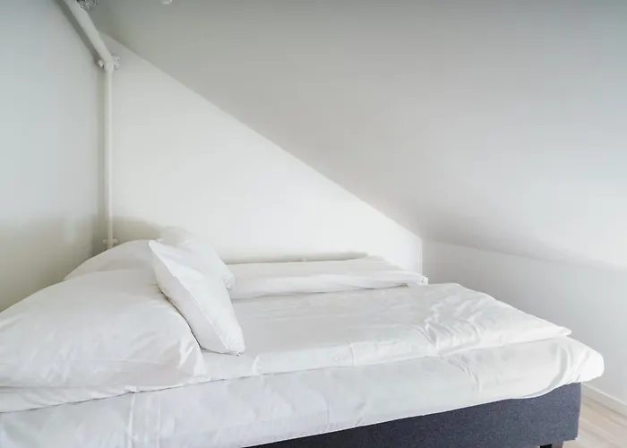 Maya - Gruenerlokka *